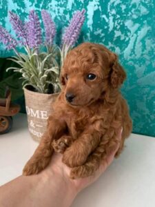 received_1142233649942561