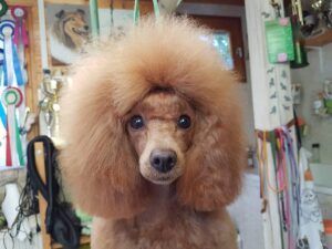 received_876989450346483