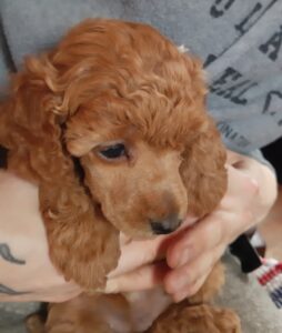 20191110_182215 - Copy