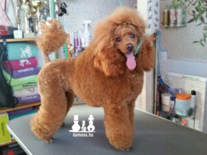 received_2358639557755983