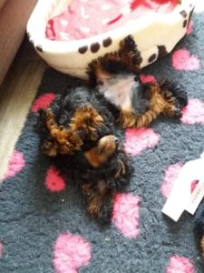 received_738878770624920